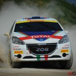 Peugeot_Rally_32