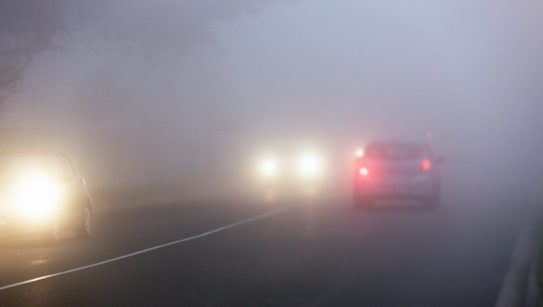 guidare con la nebbia