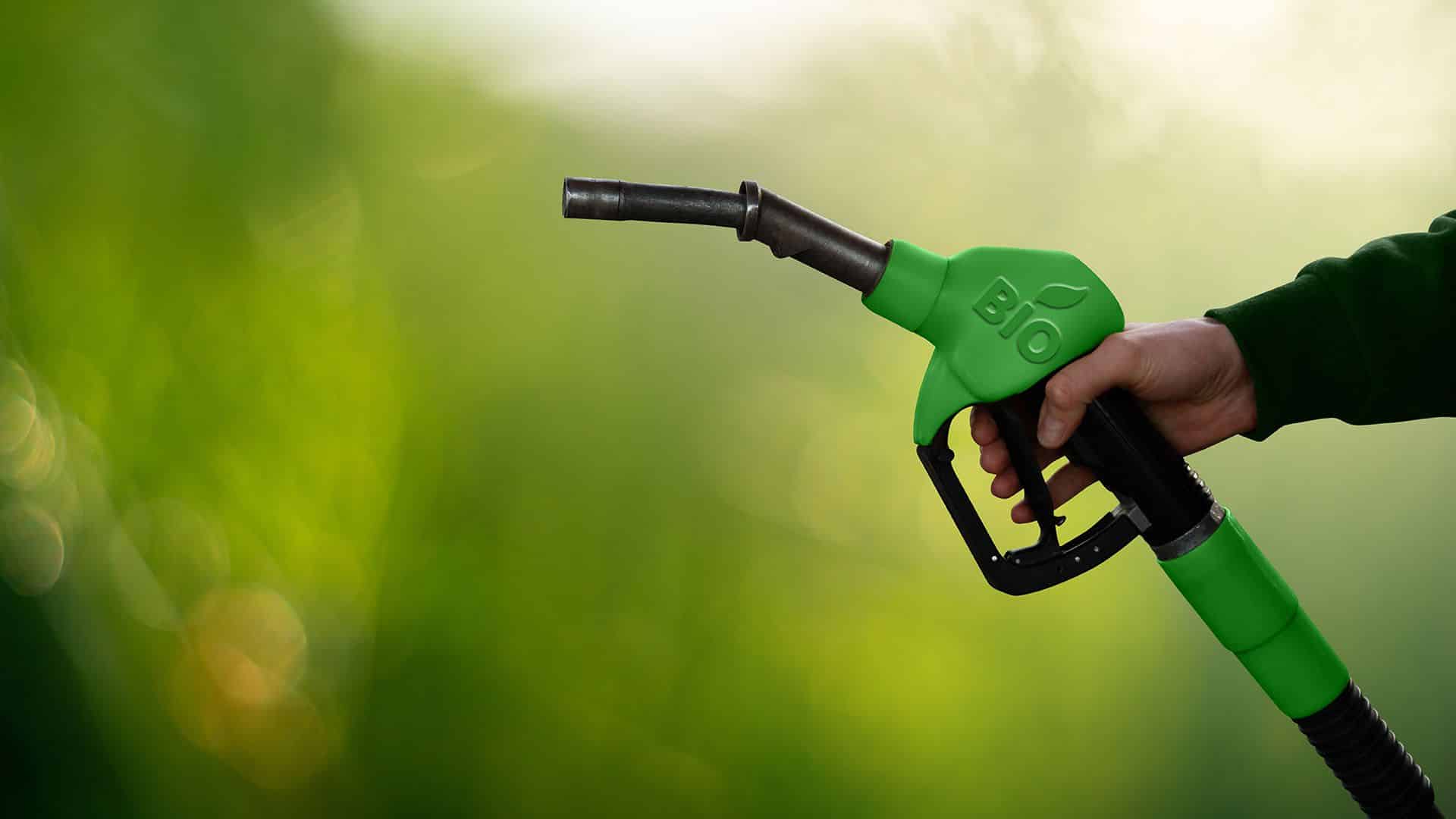 Per i biocarburanti siamo dipendenti (ancora una volta) dalla Cina
